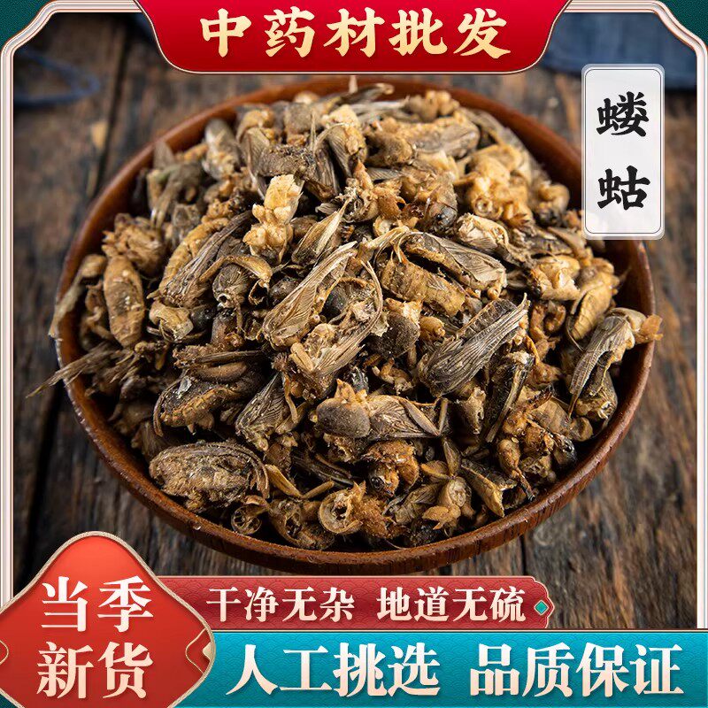 中药材蝼蛄精选干货蝼蛄500g克包邮土狗 地狗 店内另有皇虫五谷虫