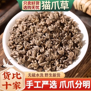 纯野生猫爪草中药材正品水洗无硫猫抓草配夏枯草郁金蒲公英小毛茛