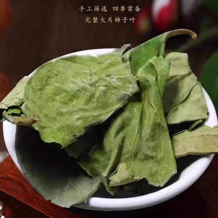 柿子叶茶中药材的功效霜降后霜打干柿子叶河南野生新鲜柿子树叶子