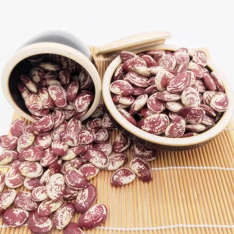 新货云南农家大荷包豆 皇帝豆肾豆非花非斑马豆 五谷杂粮500G包邮