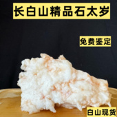 白山野生石太岁肉灵芝纯天然野生石太岁泡水 一物一拍石太岁白山