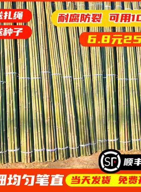 竹竿菜园搭架蔬菜黄瓜番茄豆角架杆竹篱笆栅栏小竹子细竹竿爬藤架