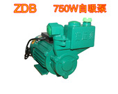 单相自吸泵 厂家直销ZDB750w自吸泵 家用清水泵 铜线