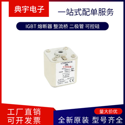 熔断器170M3439 3440 3441 3442 3443 3444  3445  3446型号齐全