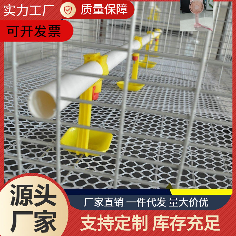 。鸽笼子养殖笼双层小鸡加密家用鸡棚养鸭加粗可清理小鸡笼隔开喂