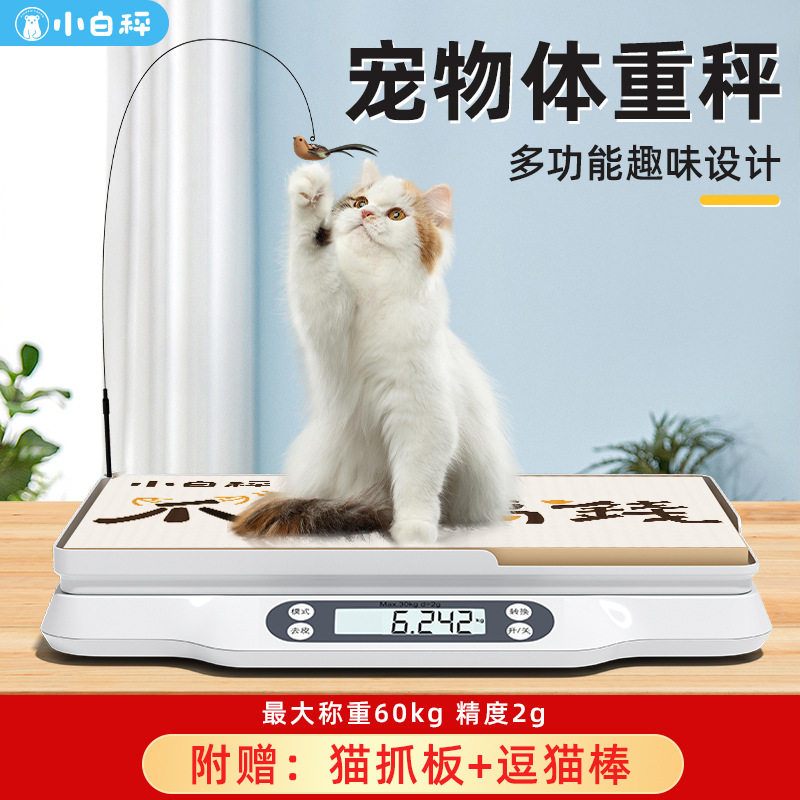 小白秤宠物专用体重秤猫咪狗狗称重器宠物店专用精准电子秤批发厂