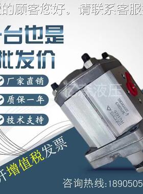 马祖奇MAZCCHI齿轮泵GHP2A-D/9/106/WRU12/O13/16/20/25/30/R40/5