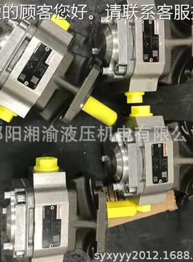 PGH-21/032REV11U2PGH4-30063RR141VU2泵PNUEGM1/2//5-PGF3