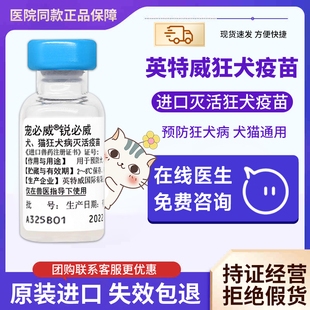 进口英特威犬猫通用狂犬疫苗宠物狗狗狂犬病成幼犬小猫咪打预防针