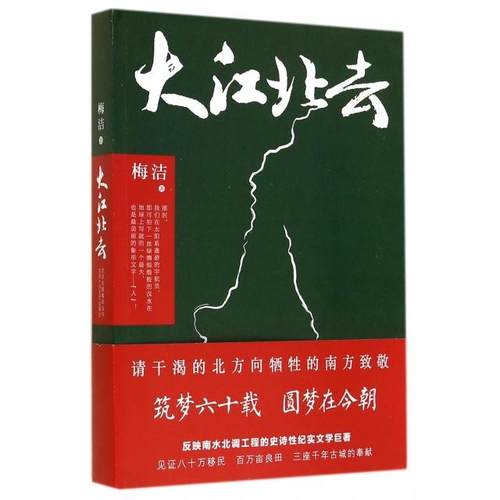 正版图书 大江北去梅洁北京十月文艺