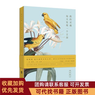 正版图书 夏花账3我的灵魂每天发现一个王国纪伯伦冰心江苏凤凰文艺出版社