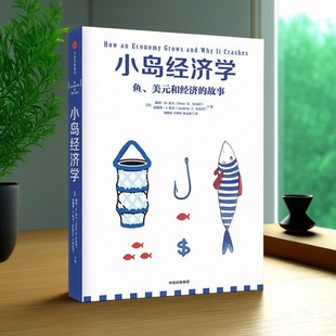 安德鲁希夫著 有趣易懂经济学入门 集团 现货 9787508672960 中信出版 小岛经济学 经济理论经管 正版 读懂经济学
