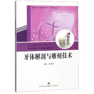 社 牙体解剖与雕刻技术洪济南出版 正版 图书