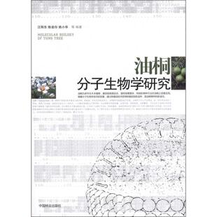 社 油桐分子生物学研究汪阳东陈益存姚小华中国林业出版 正版 图书