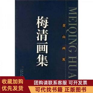 正版图书 梅清画集梅清绘天津人民美术出版社