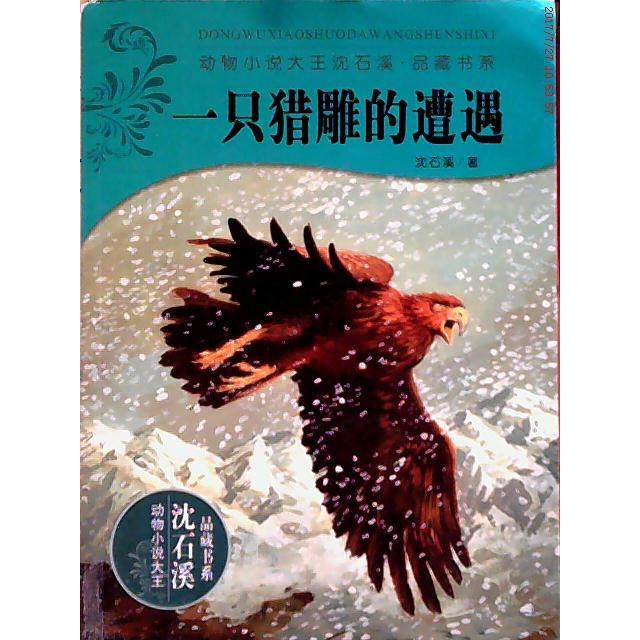 正版图书 一只猎雕的遭遇动物小说大王沈石溪品藏书系沈石溪浙江出版联合出版社浙江少年儿童出版社