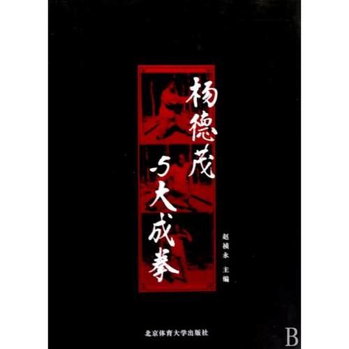 正版图书 杨德茂与大成拳赵祯永北京体育大学