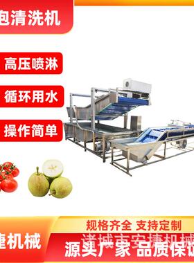 大KNN型商用各喷类蔬压淋用大姜红薯土高豆气泡清果洗机