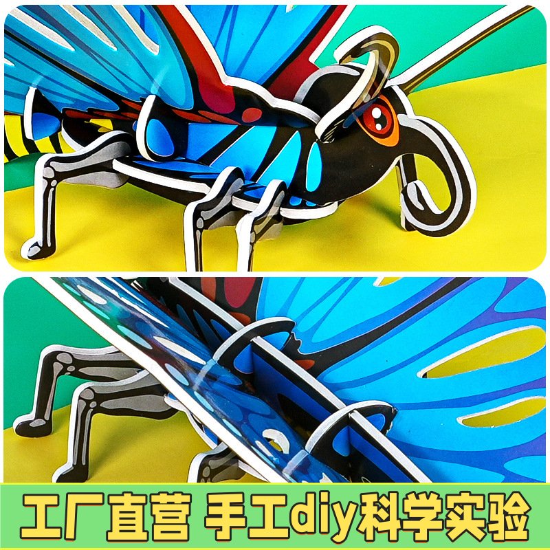 KT蝴蝶科技小制作昆虫认知手工diy拼插益智小学生科学实验材ZE91