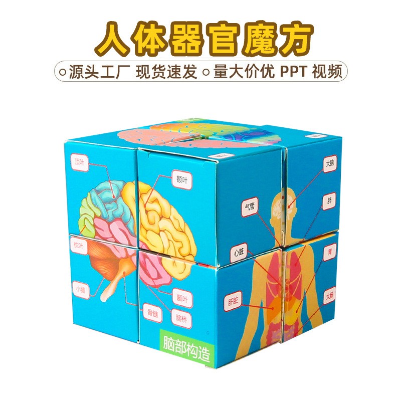 认识人体器官科学实验DIY魔方幼儿童手工学生科技小制作教具材料