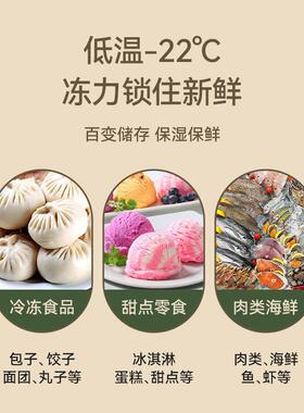 冷冻柜大容量肉商食用速冻柜冰淇淋类低温柜超HR-LD126市品冻冷展