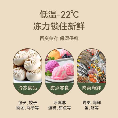 冷冻柜大容量肉商食用速冻柜冰淇淋类低温柜超HR-LD126市品冻冷展