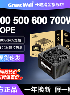 长城电源HOPE6000DS5000DS额定500W600W700W400W台式主机电脑电源