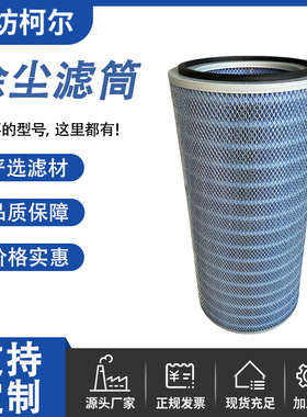 自洁式滤芯P190818阻燃空气滤芯防火耐高温阻燃除尘滤筒