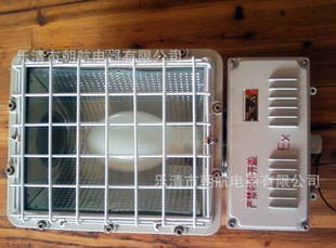 400W 250W 1000W 方型投光灯 5032 隔爆型泛光灯 BAD5031 BAT52