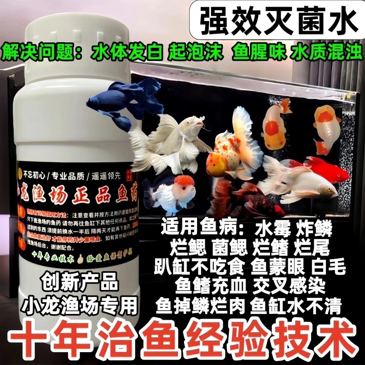 2号鱼充血烂鳍趴缸菌腮水霉交叉感染——蝴蝶鲤金鱼锦鲤渔场专用