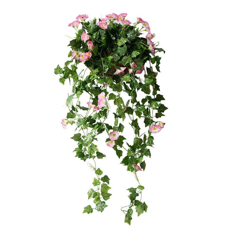 仿真壁挂植物牵牛花吊兰客厅藤蔓装饰吊顶墙面U装饰仿真花壁挂,家居饰品,仿真花/假花,淘宝优惠券,粉丝福利购,淘宝优惠卷