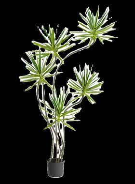 大型落地摆件客厅轻奢高档v家居饰品龙血树仿真绿植玄关装饰品摆