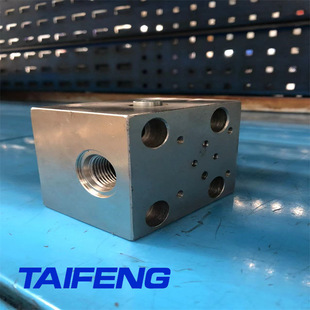 H2WB 泰丰液压厂家供应TLFA 025