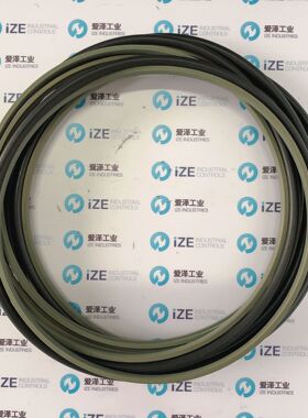 B+S密封圈RSK301600-T46N现货供应爱泽工业