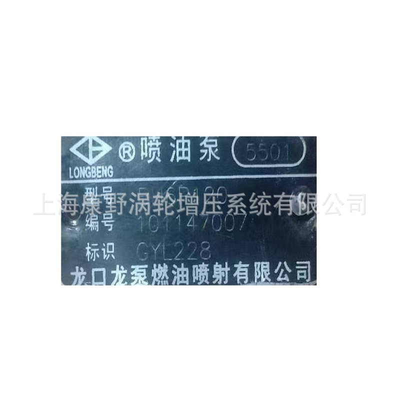 喷油泵5501和5713 S00008287+01和5B36和12096 S00016259+01