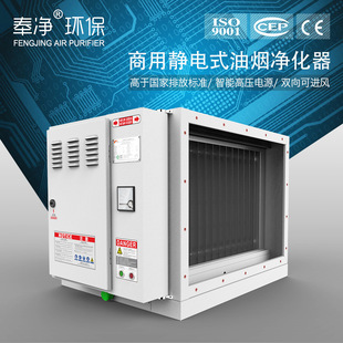 油烟净化器静电式 餐饮厨房饭店油烟净化器奉贤智能型生产厂家