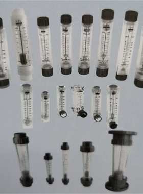 LZT4010G管道式流量计LZT4010GS管道式流量计10-100GPM/50-350LPM