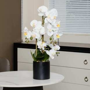 仿真蝴蝶兰盆栽带花苞办公桌仿真梦幻婚礼客厅高级感爆品人造假花