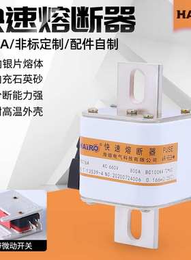 RS76A 660V800A椭圆挂钩式快速熔断器 中频炉使用低压熔断器