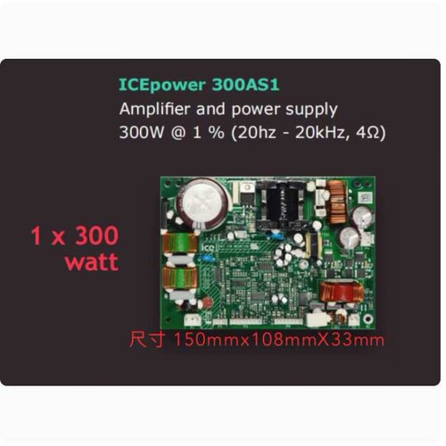 原装丹麦 ICEPOWER 300AS1 功放模块 HIFI板单声道功放板