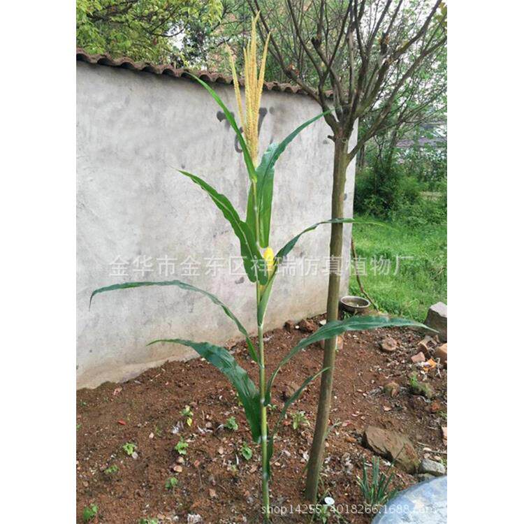 仿真玉米叶春色玉米棒子假农作植物假树叶工程博物馆布景拍摄