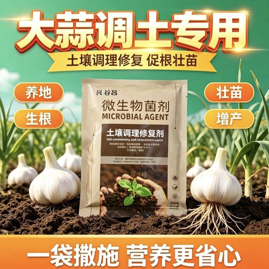 大蒜土传病害专用菌肥降重茬促生根壮苗增强抗逆提质增产