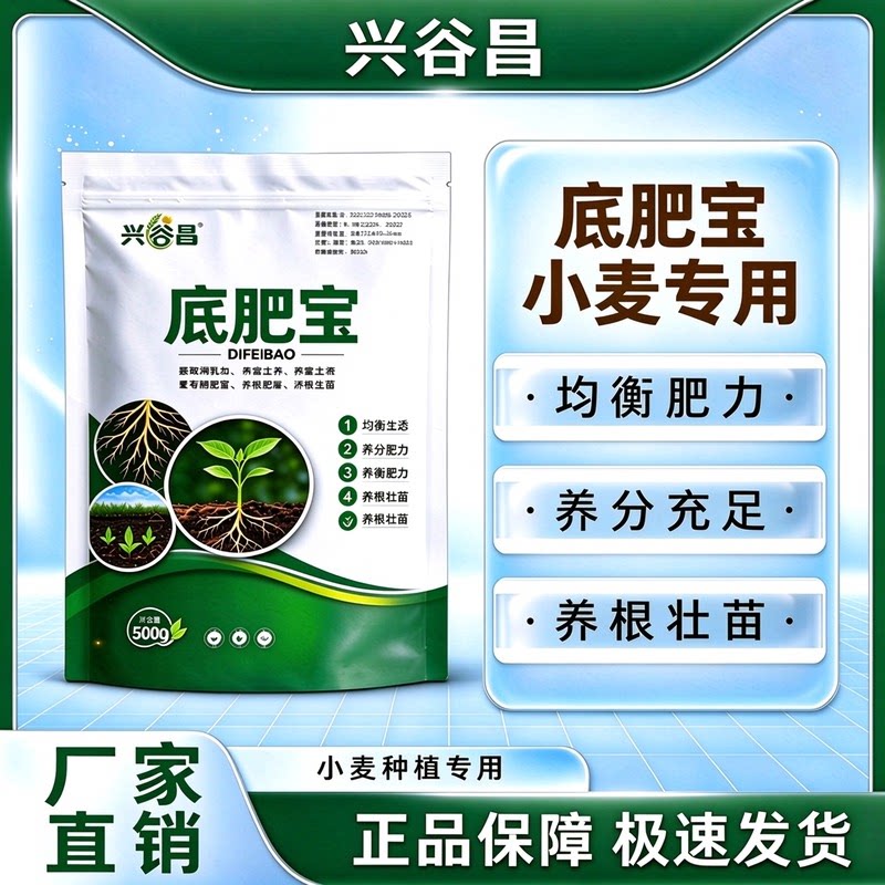 兴谷昌小麦底肥宝小麦粒粒饱生根壮苗籽粒饱满小麦长势稳健丰产