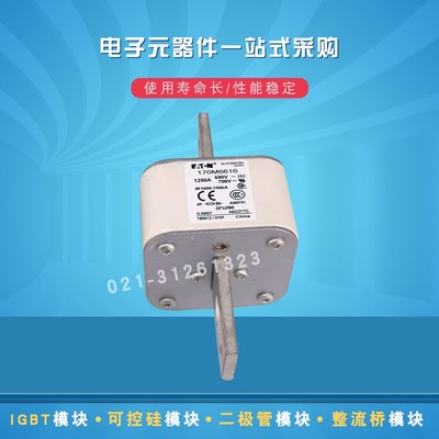 现货170M6616 6617 6618 6619 6620 6621 6629快速熔断器保险丝