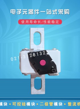 巴斯曼快速熔断器170M6664 6665 6666 6667 6668 6669 6670全新现