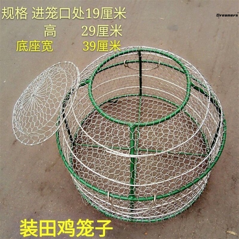 。田鸡笼养殖蛤蟆鼠笼养蛇专用箱网蛙笼箱网金属网饭店虾蟹笼笼子