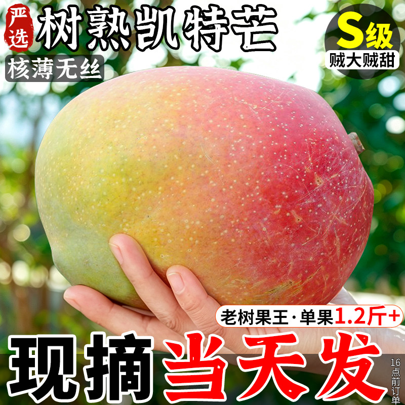 凯特芒果丨爆甜多汁丨现摘现发