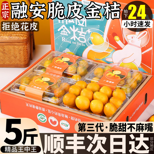顺丰次日达！融安脆皮金桔礼盒