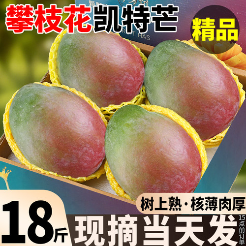 凯特芒果丨比脸还大丨现摘现发