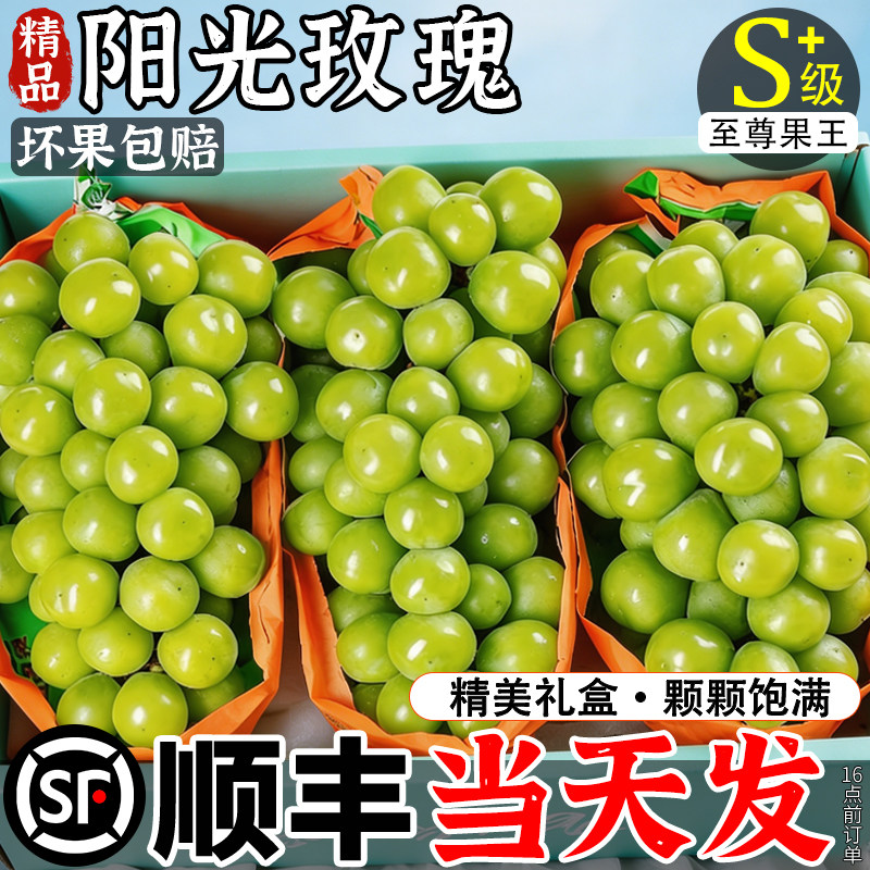 顺丰当天现摘TOP级产区阳光玫瑰